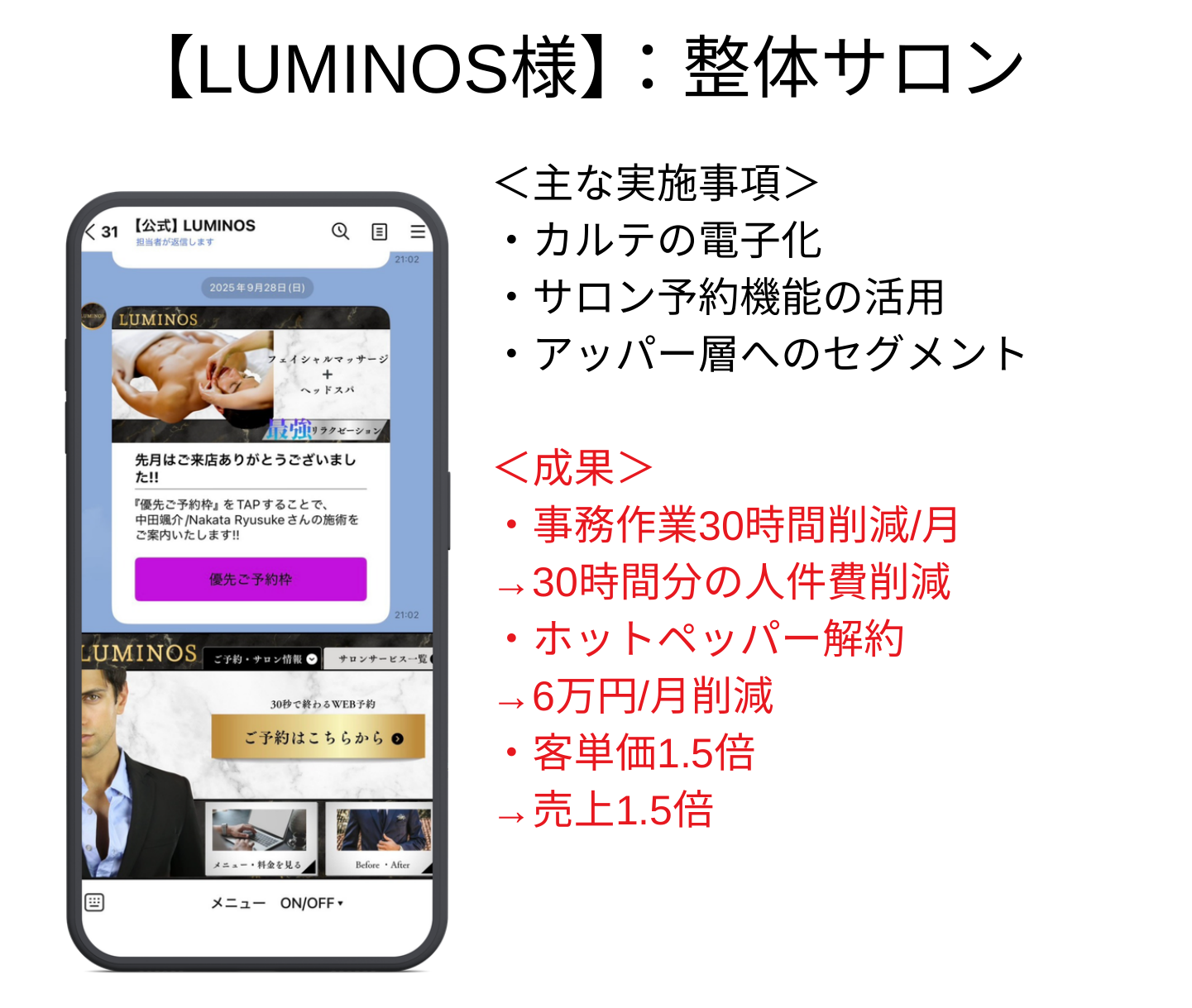 LUMINOS：提供資料の構築画面と実施内容